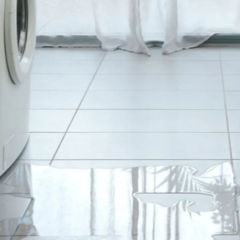Appliance Leak Cleanup in Molino, FL